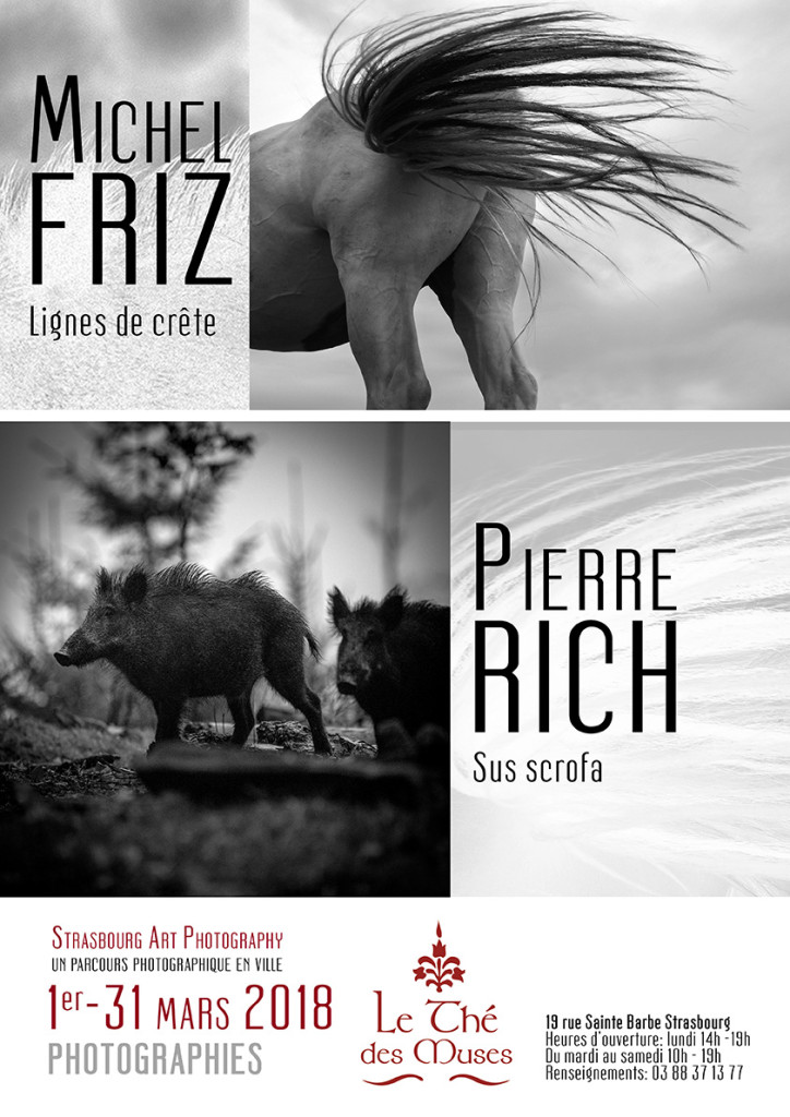 Affiche-Friz-Rich-The-des-muses-web Affiche Friz Rich The des muses web