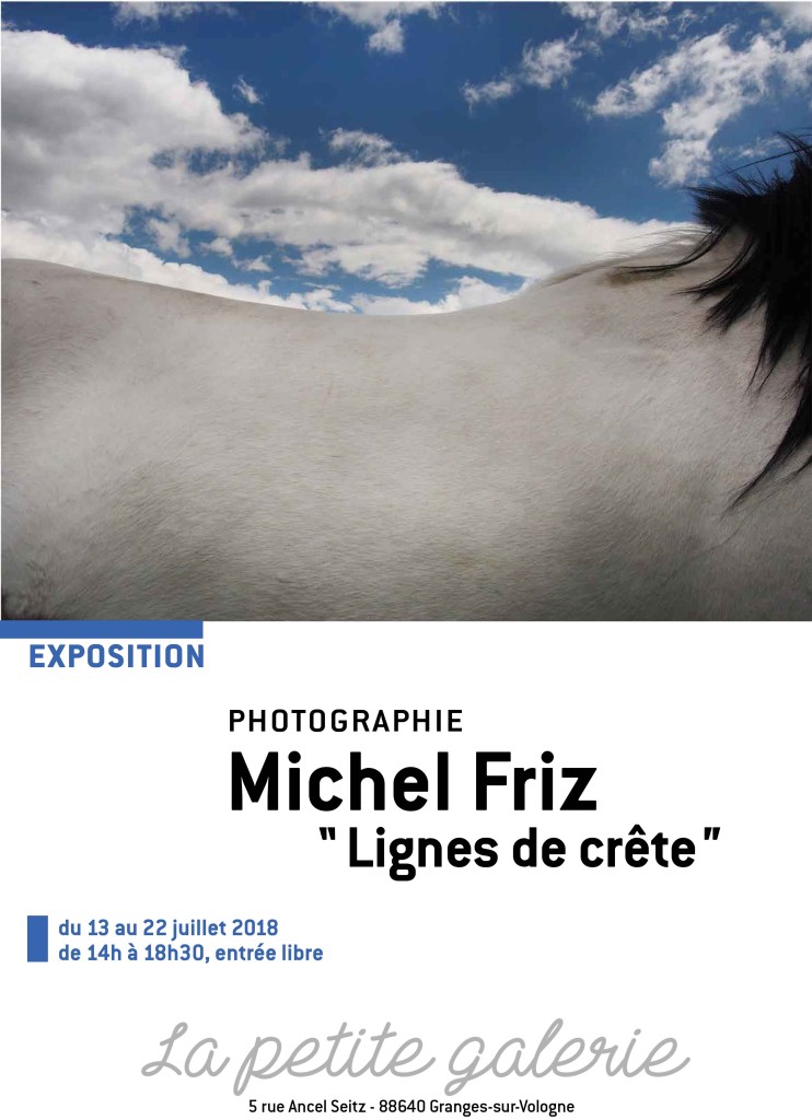 AFFICH-EXPO-FRIZ-1-2-l AFFICH EXPO FRIZ 1 2 l