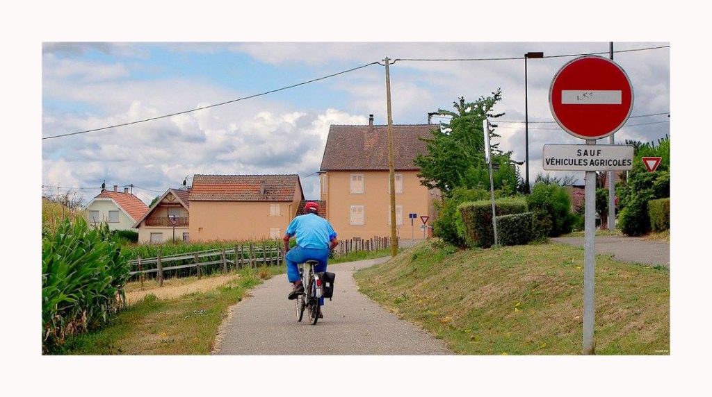 19092608_755161857996292_7093980445467895721_o 19092608 755161857996292 7093980445467895721 o