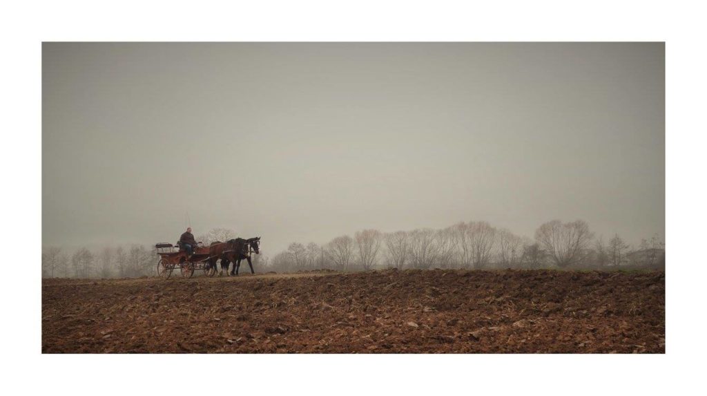 24130358_832208603624950_4086027833221774344_o 24130358 832208603624950 4086027833221774344 o