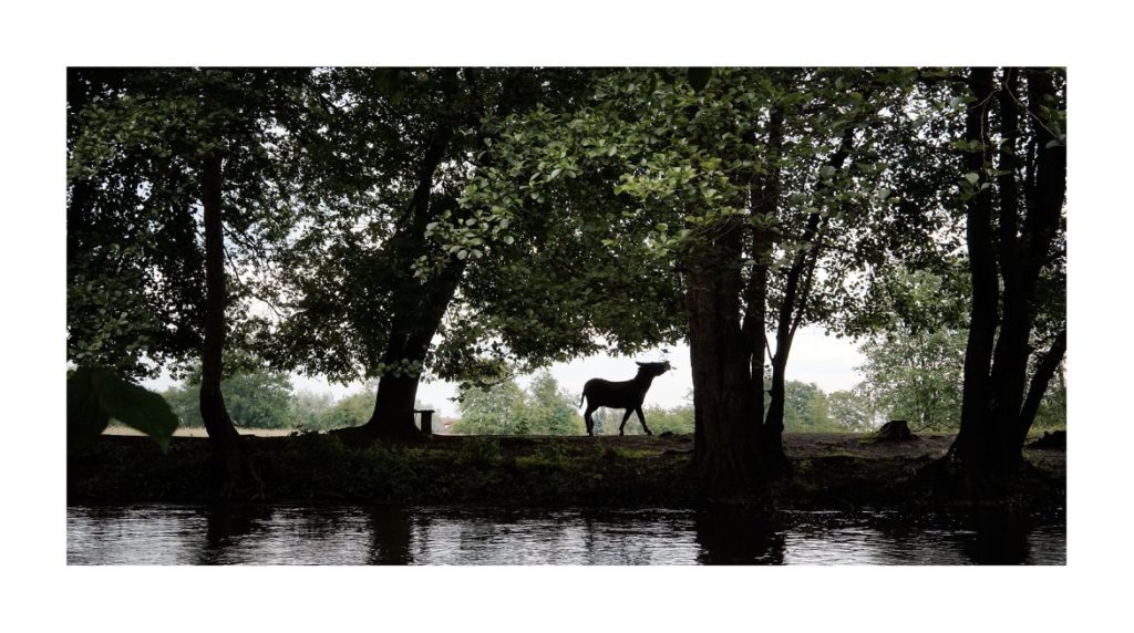 32932583_928150487364094_8281392061375053824_o 32932583 928150487364094 8281392061375053824 o