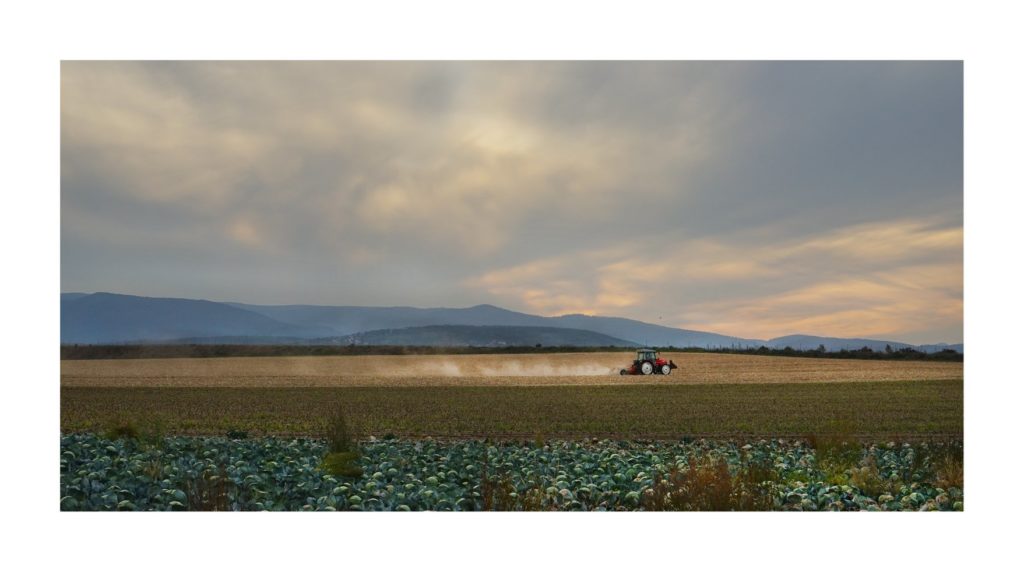 44122182_1049137691932039_353821278450221056_o 44122182 1049137691932039 353821278450221056 o