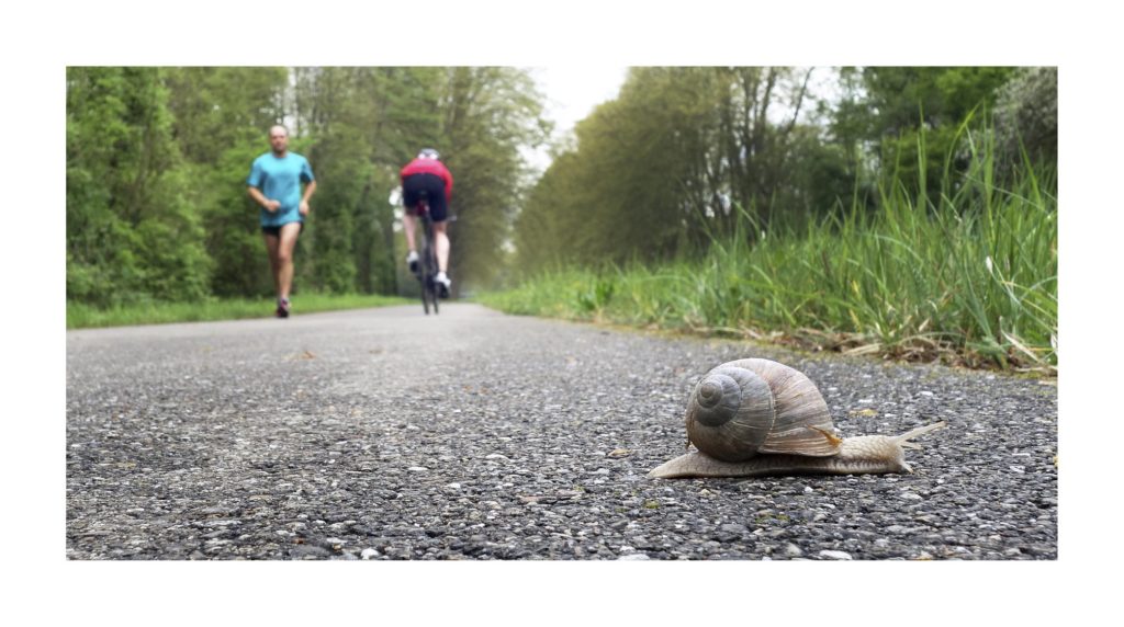 56883531_1160118574167283_4072190580761821184_o 56883531 1160118574167283 4072190580761821184 o