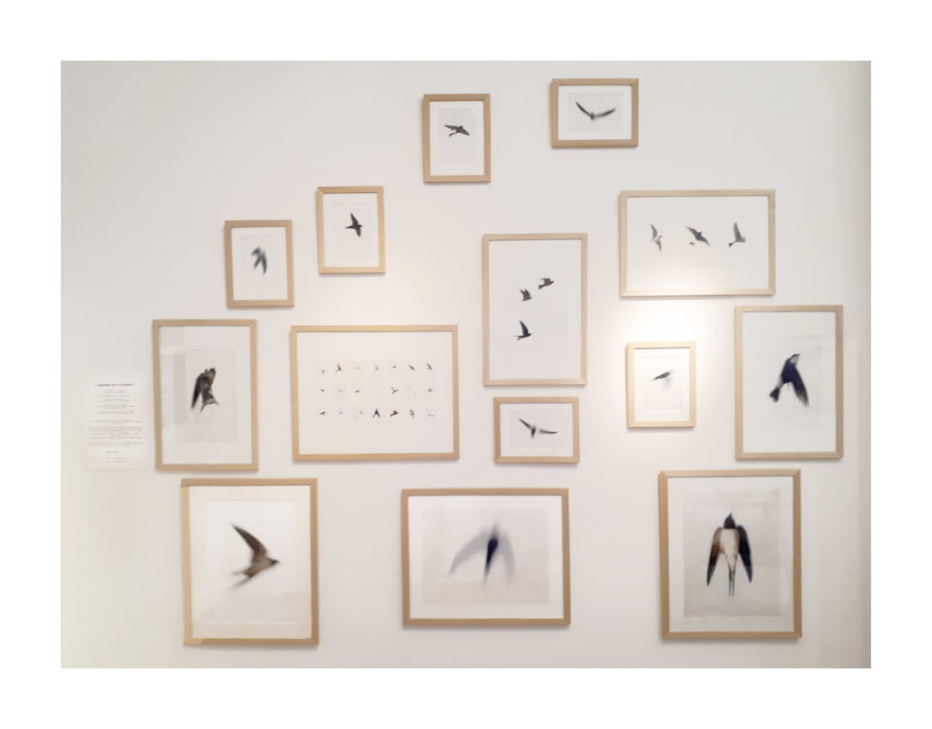 20230321_143130 21032023 un5l 20230321 143130 21032023 un5l