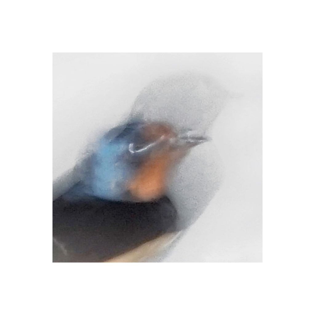 DSC02364un8a6a12 2 20×20 DSC02364un8a6a12 2 20x20