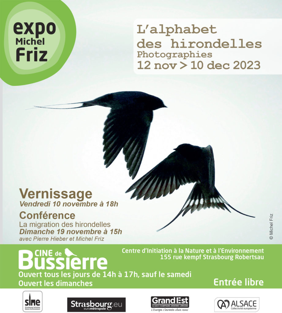 carton_friz_ok_01 carton friz ok 01