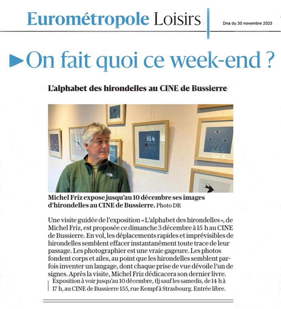 blank dna 30112023 9 blank dna 30112023 9 1