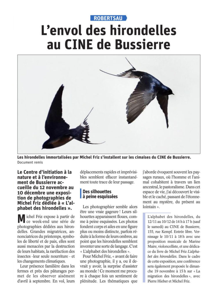 dna 10112023 6 dna 10112023 6