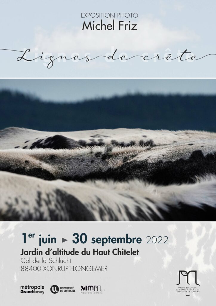 Affiche expo chitelet