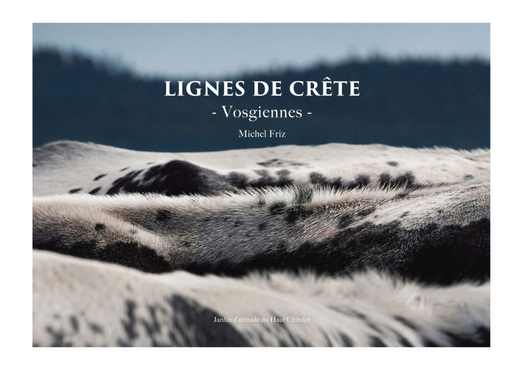 Couv Ligne de cretes Vosgiennes BAT4 l