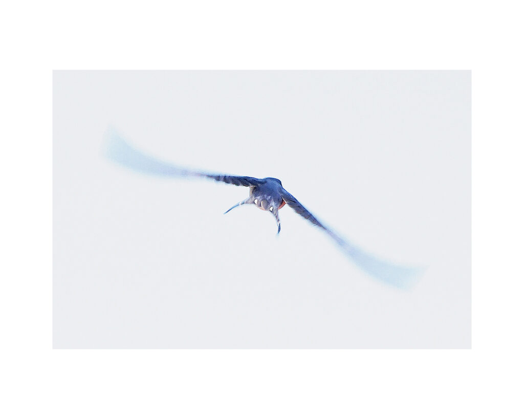 13 40×26,6 50×40 l 13 40x266 50x40 l