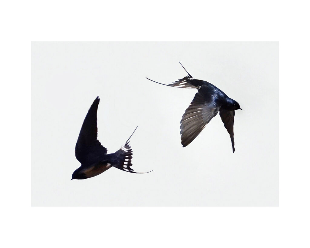 4 3 50 x 40l 4 3 50 x 40l