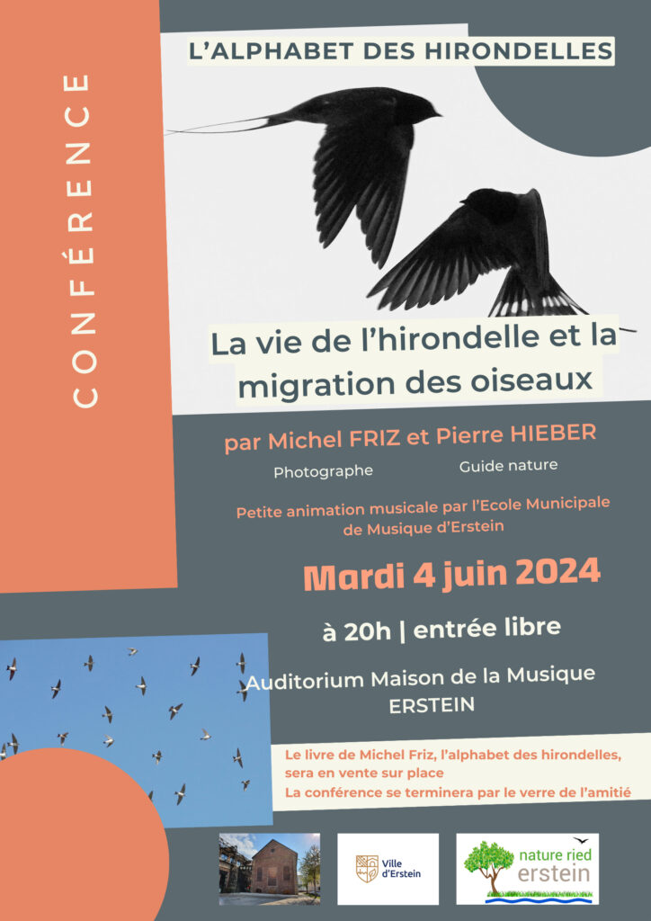 Conférence Affiche Conference Affiche