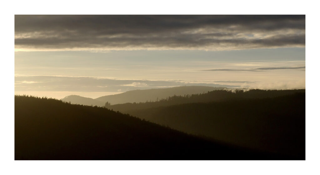 DSC00467web 1 DSC00467web 1