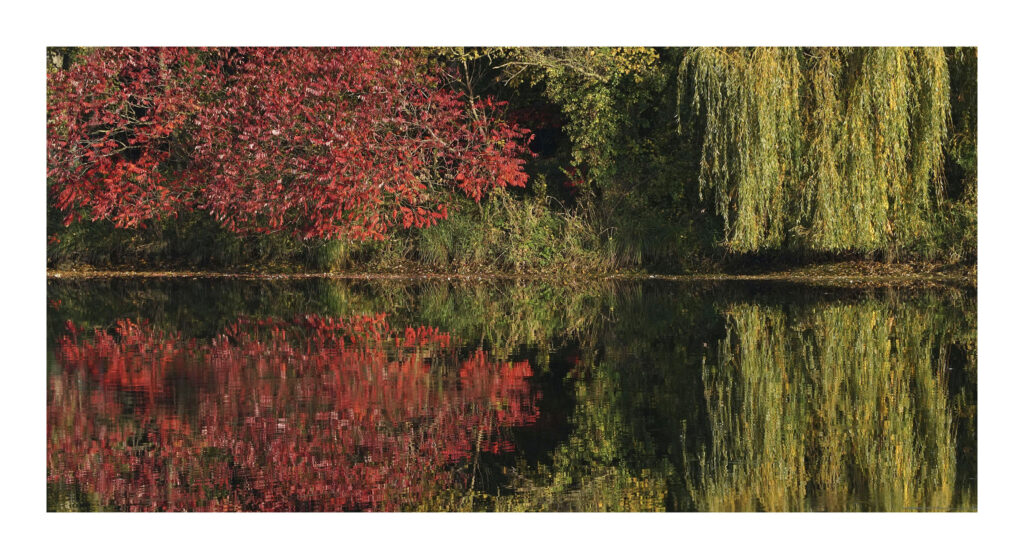 DSC01108web2-PS 1 DSC01108web2 PS 1