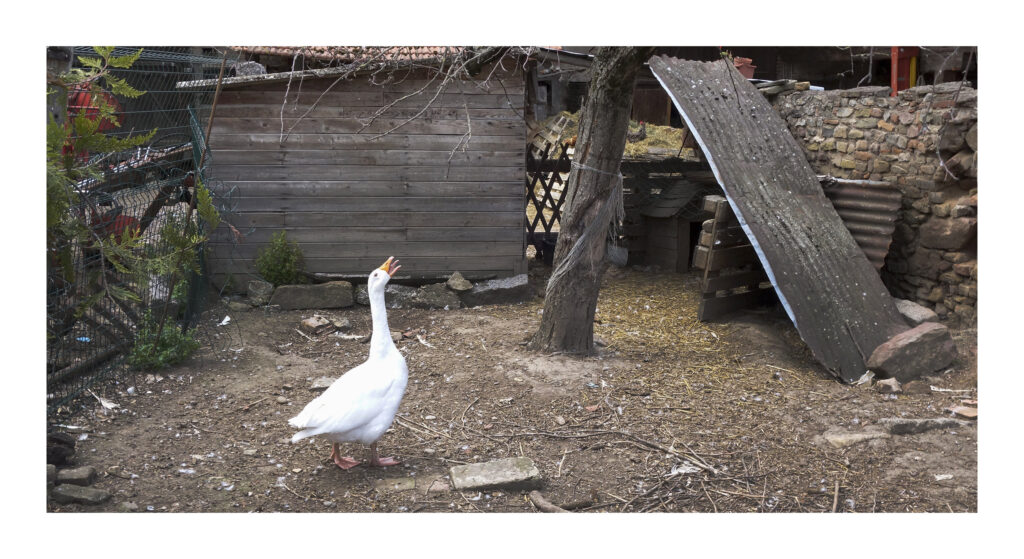 DSC02623web2-PS 1 DSC02623web2 PS 1