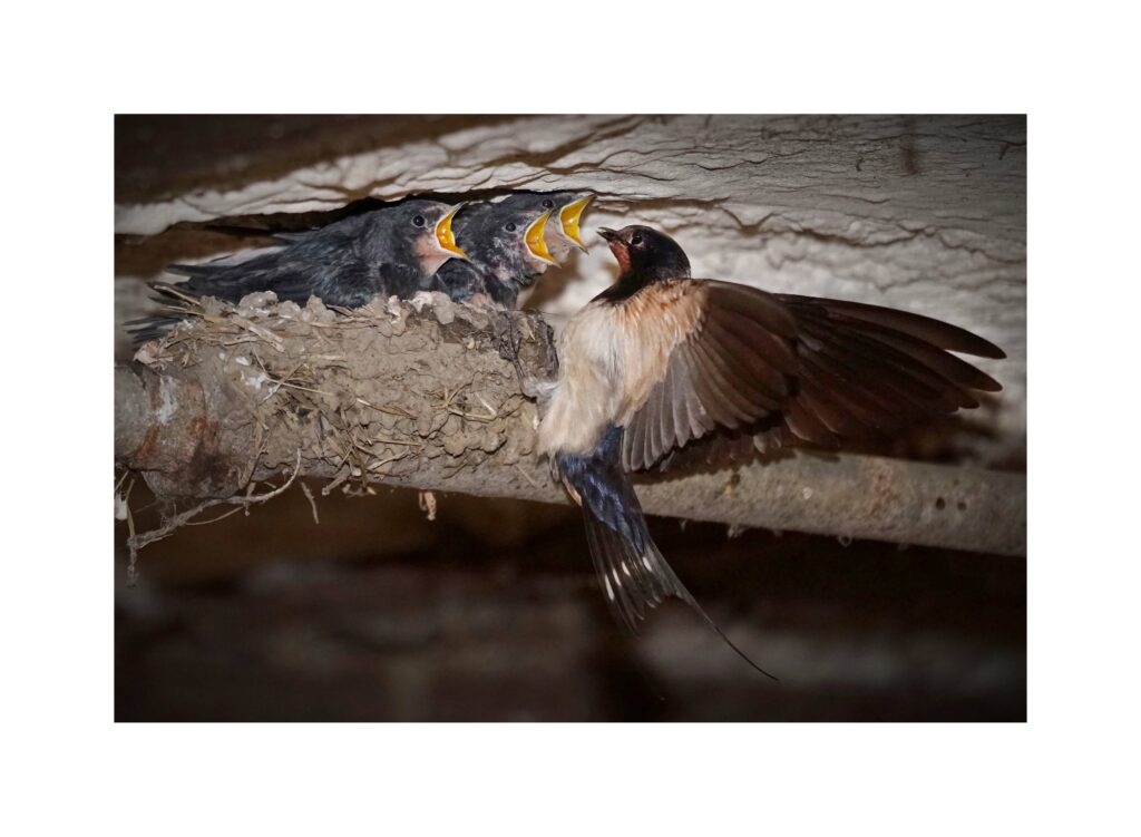 DSC02843un1a7l DSC02843un1a7l