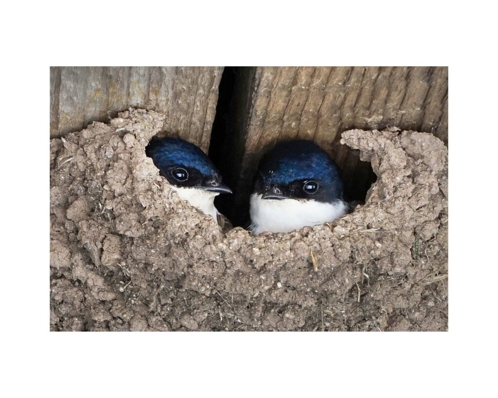 DSC03565un1a9l DSC03565un1a9l