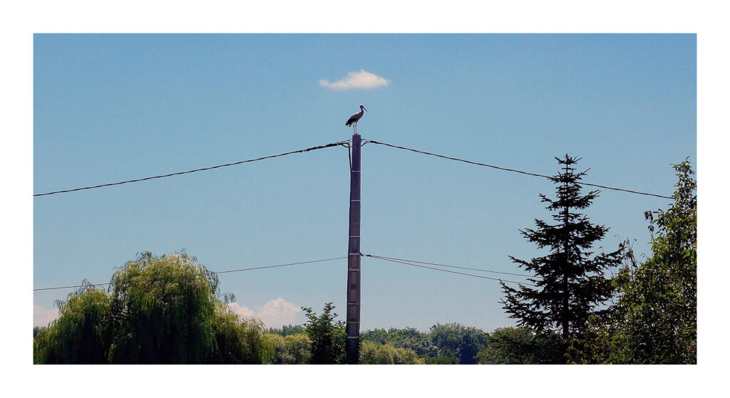 DSC03568web4 1 DSC03568web4 1