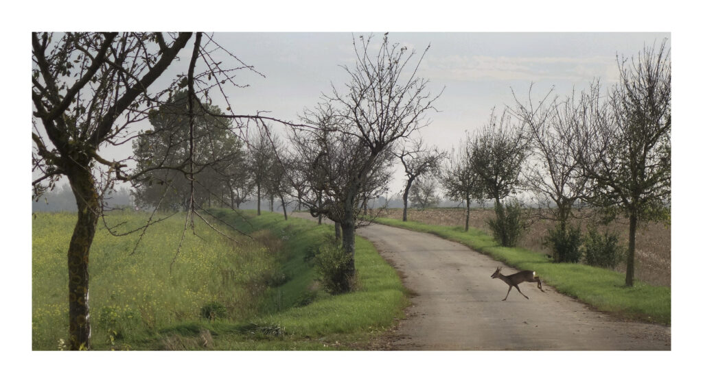 DSC03749web2-PS 1 DSC03749web2 PS 1