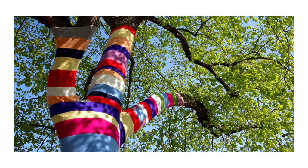 DSC05780web2 1 DSC05780web2 1