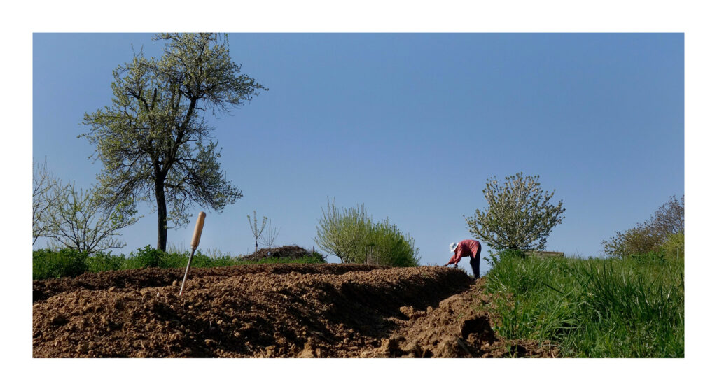 DSC05792web2 1 DSC05792web2 1