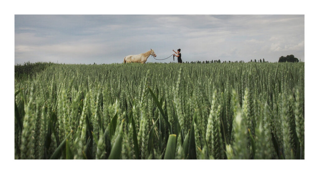 DSC05822web2-PS DSC05822web2 PS