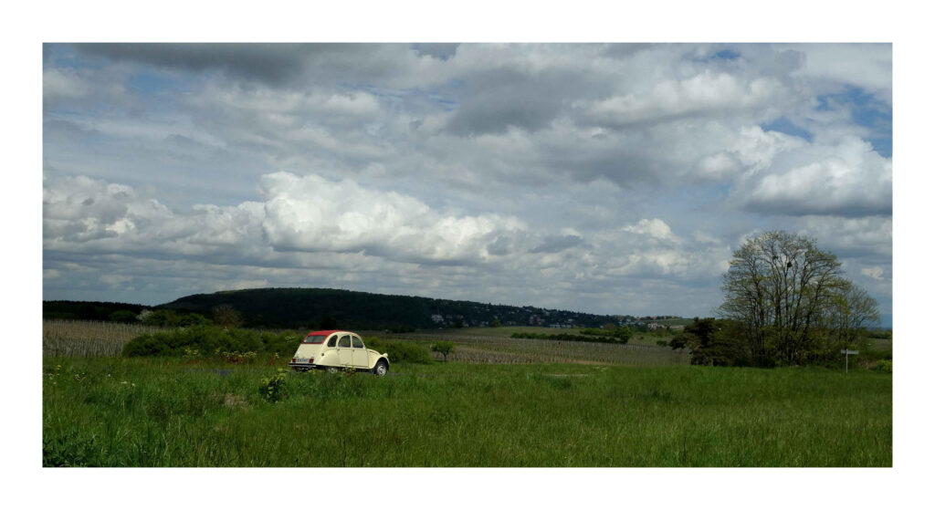 DSC06755web2 1 DSC06755web2 1