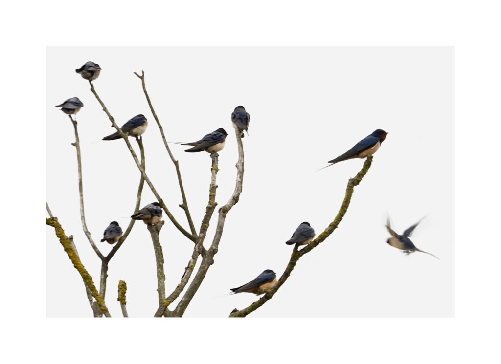 DSC07125un9ok1 DSC07125un9ok1