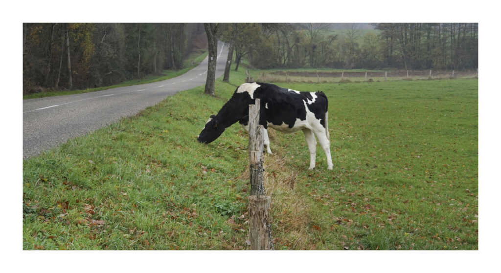 DSC07828web1-PS 1 DSC07828web1 PS 1