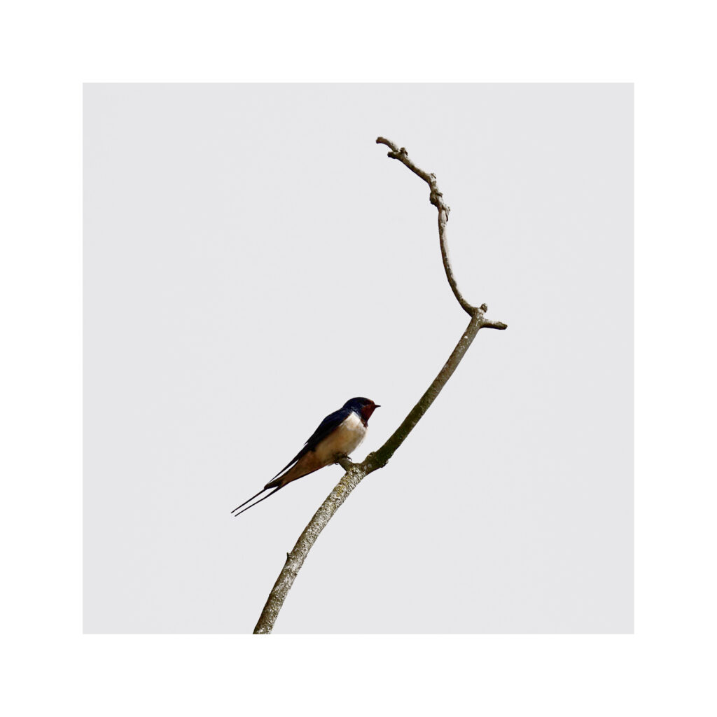 DSC08160un11 DSC08160un11