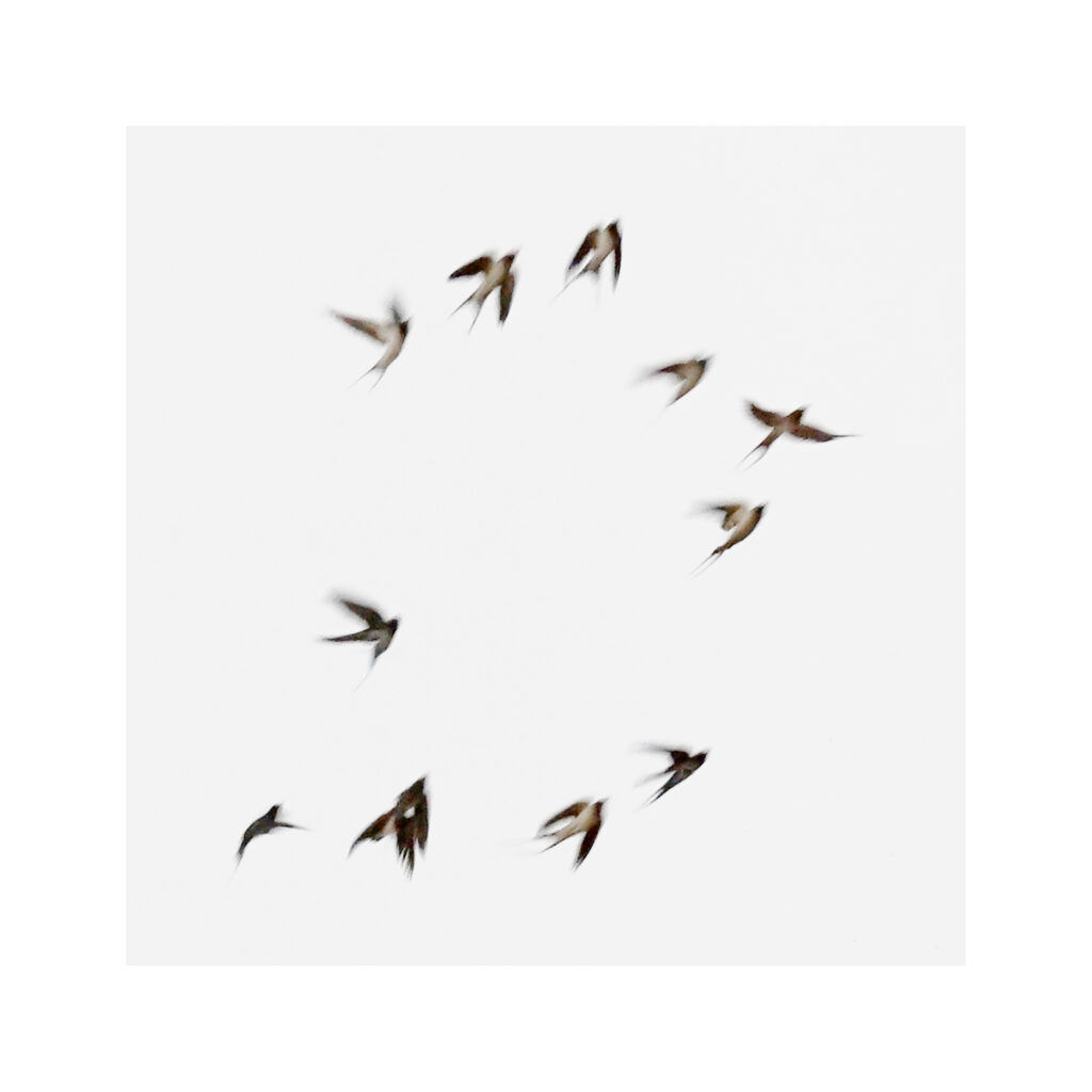 DSC09069un6 DSC09069un6