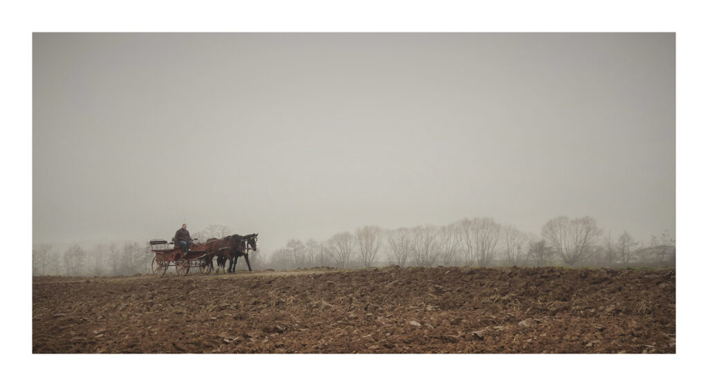 DSC09509web4-PS 1 DSC09509web4 PS 1