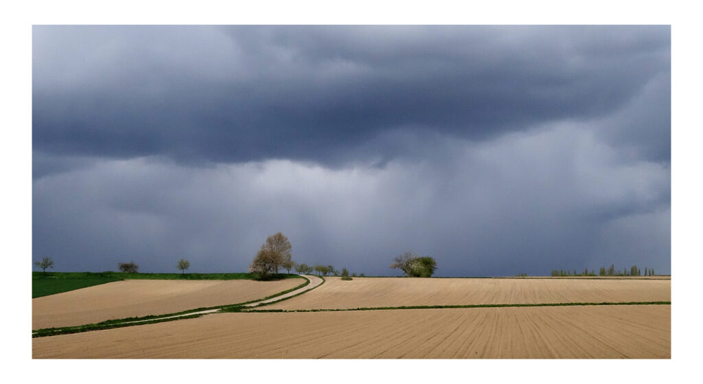 DSC09535web5 l DSC09535web5 l