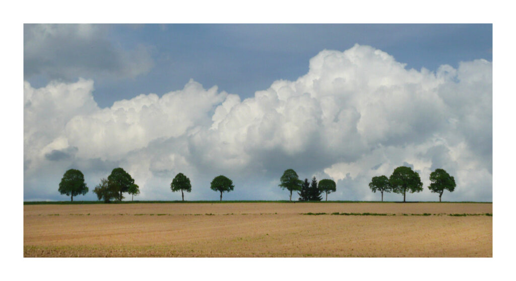 P1040862web 1 P1040862web 1