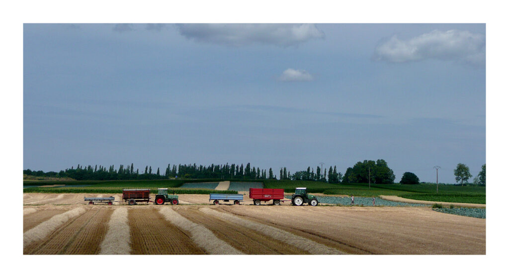 P1060885web1 P1060885web1