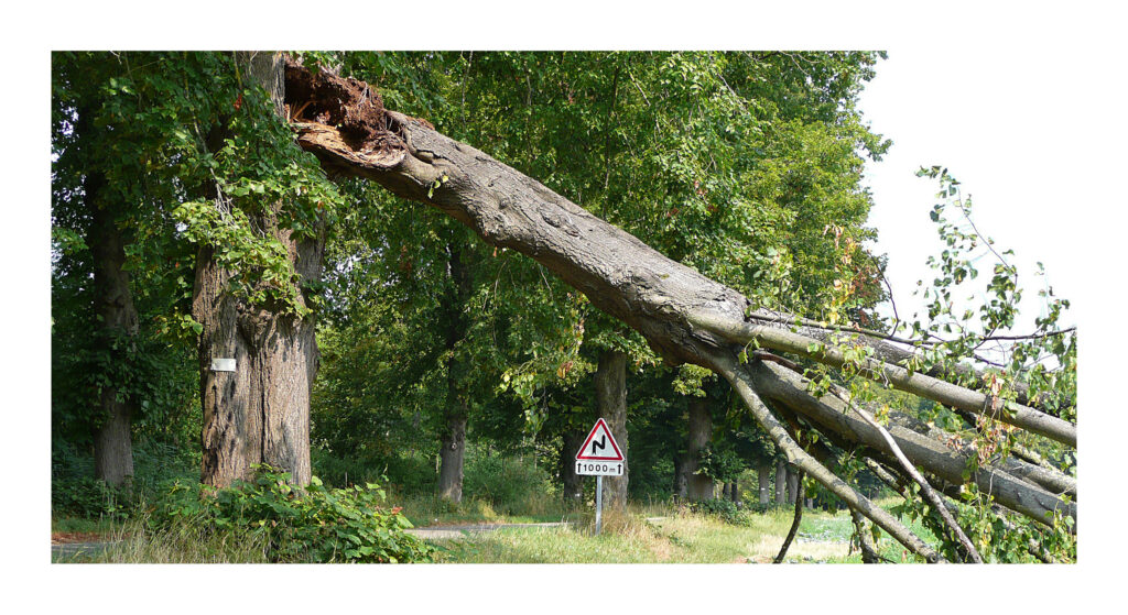 P1080516web 1 P1080516web 1