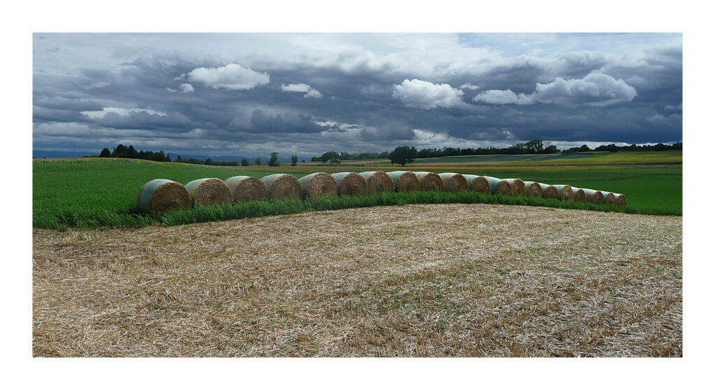 P1080819web2 1 P1080819web2 1