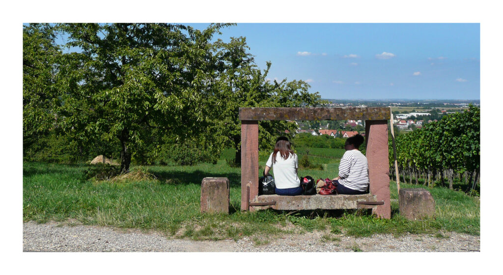 P1090009web P1090009web