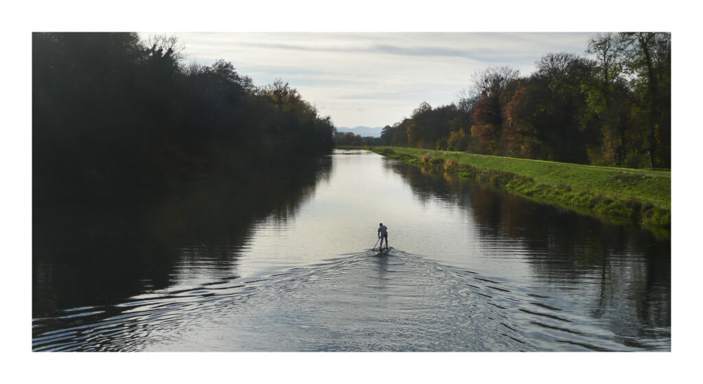 P1110982-PS 1 P1110982 PS 1