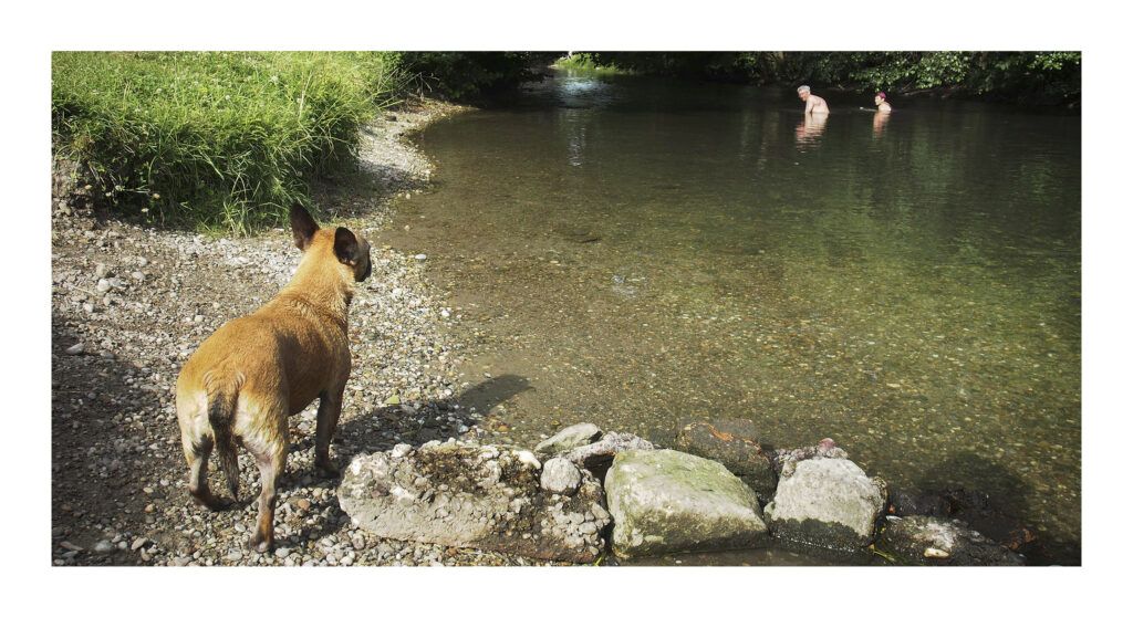 P6260041web1-PS 1 P6260041web1 PS 1