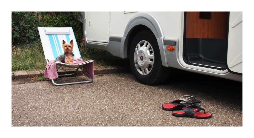 P8040177web1 1 P8040177web1 1