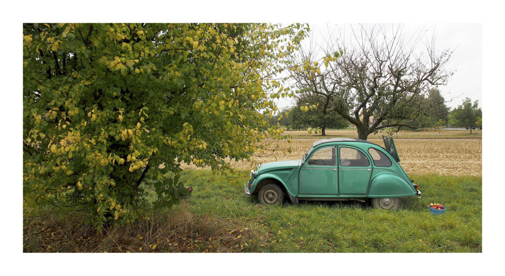 OLYMPUS DIGITAL CAMERA PA170083web PS 1