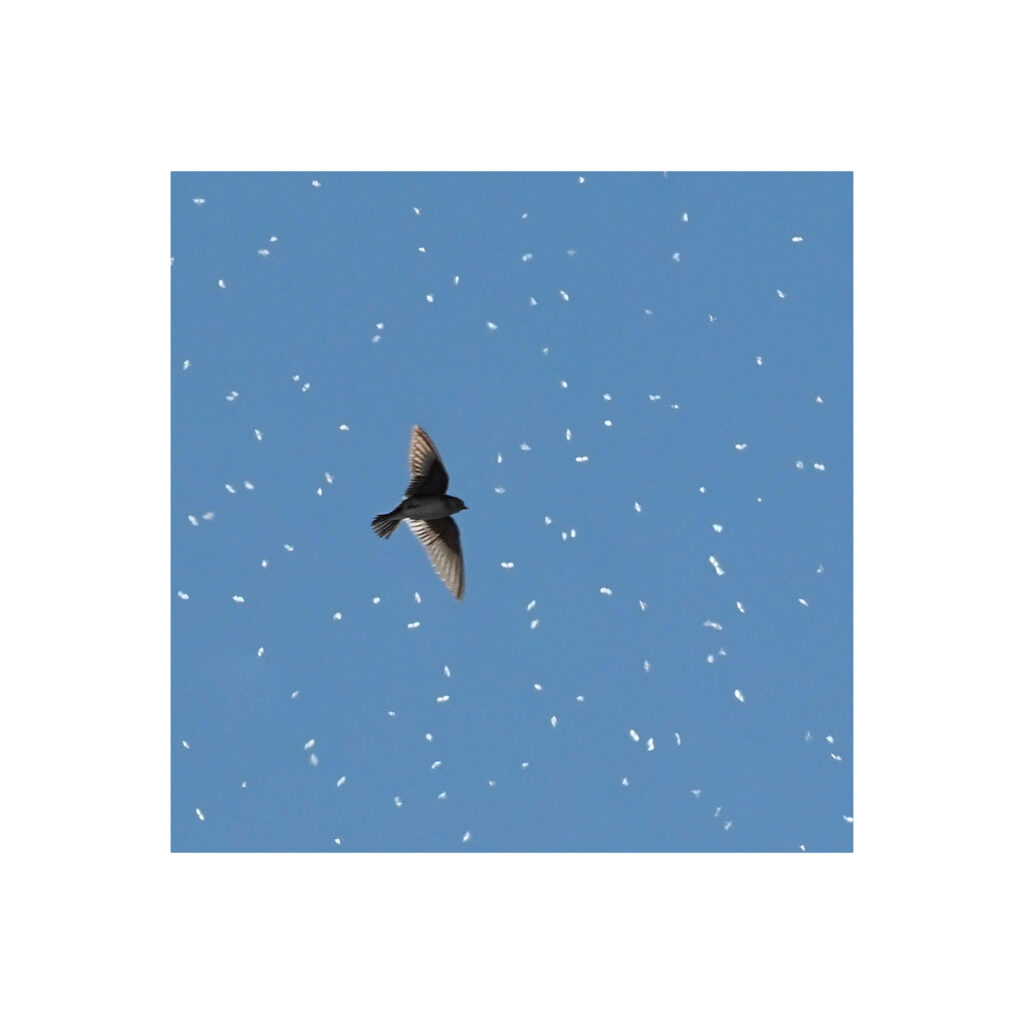 expo Aida 102023 3 1 expo Aida 102023 3 1