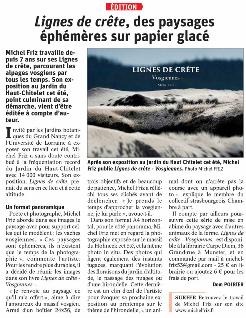 320282845 694011068772726 8130301261912324915 n