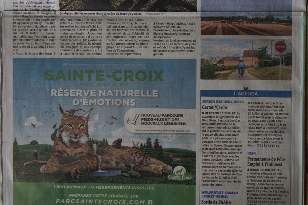 DSC09253un DSC09253un