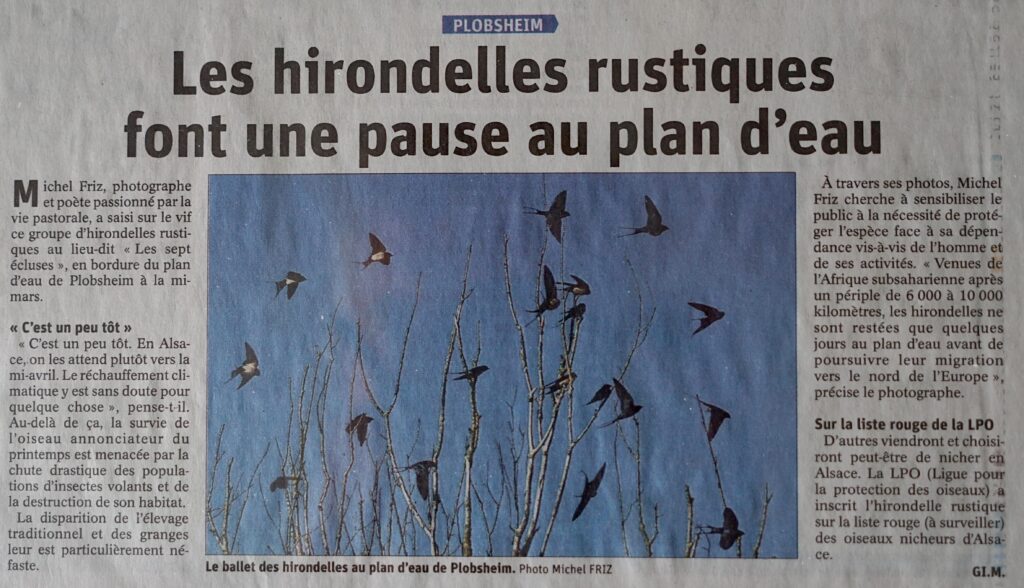 DSC09302un DSC09302un