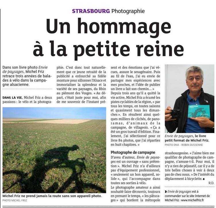 article dna article dna