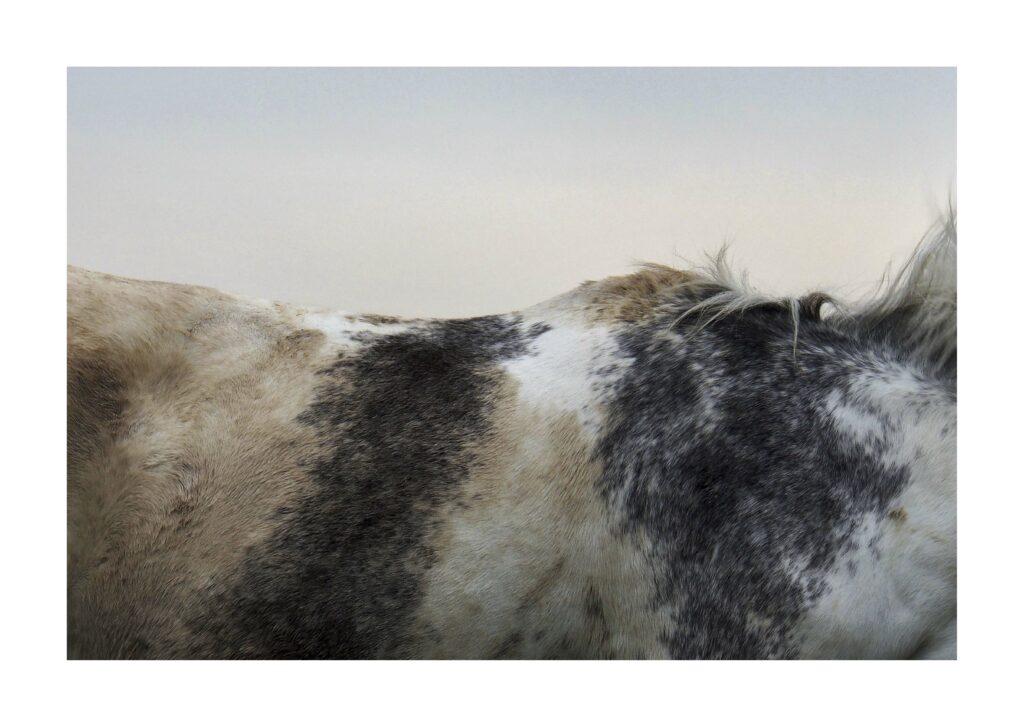 OLYMPUS DIGITAL CAMERA 16