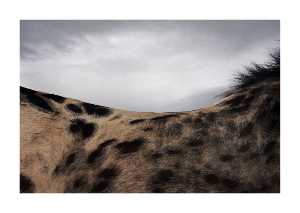 OLYMPUS DIGITAL CAMERA 7